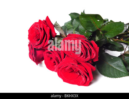 Bouquet de roses rouge isolé sur fond blanc Banque D'Images