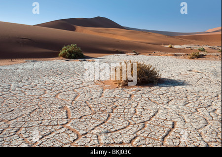 Lit de rivière à sec en laissant un effet de craquelures dans l'Argile Blanche à Sossusvlei, Namibie Banque D'Images