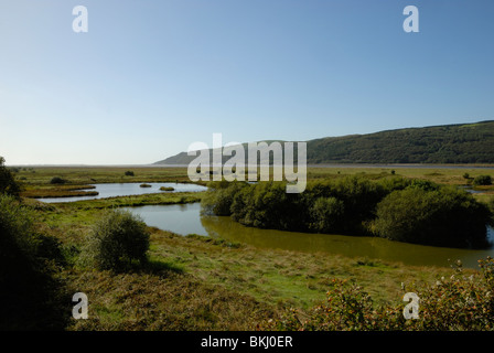 Marian Mawr piscines avec l'estuaire de Dyfi derrière, Réserve naturelle Ynys Hir RSPB, Powys, Pays de Galles, Royaume-Uni. Banque D'Images