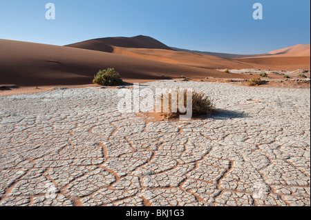 Lit de rivière à sec en laissant un effet de craquelures dans l'Argile Blanche à Sossusvlei, Namibie Banque D'Images