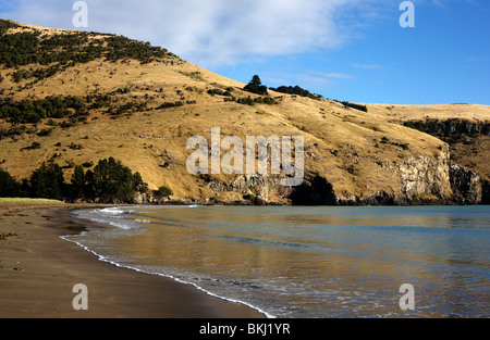 Le Bons Bay, près de Akaroa sur la péninsule de Banks, près de Christchurch, Nouvelle-Zélande Banque D'Images