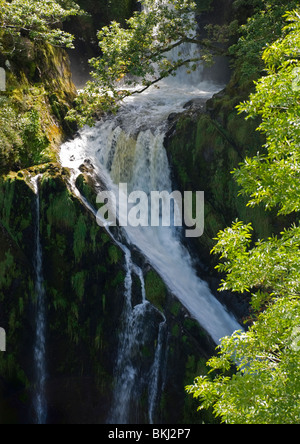 Ceunant Mawr chute également connu sous le nom de Llanberis Falls Banque D'Images