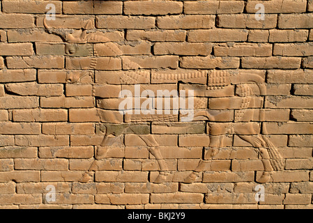 Babylone Irak mur ouest de la partie inférieure de la porte d'Ishtar Secours Bull symbole de l'Adad dieu des tempêtes Banque D'Images