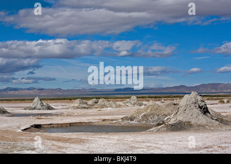 Des volcans de boue et encore boue parsèment la région sud-est de la mer de Salton dans l'Imperial Valley , California Banque D'Images