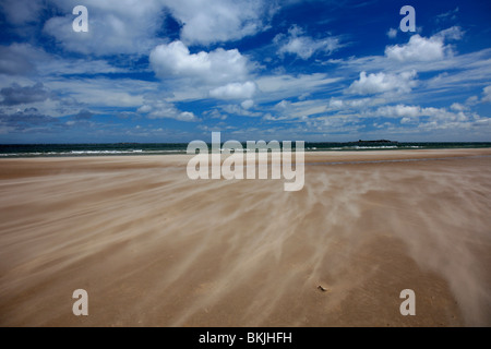 Sable vent patrons à plage de Bamburgh North Coast de Northumbrie Northumbrie en Angleterre Banque D'Images