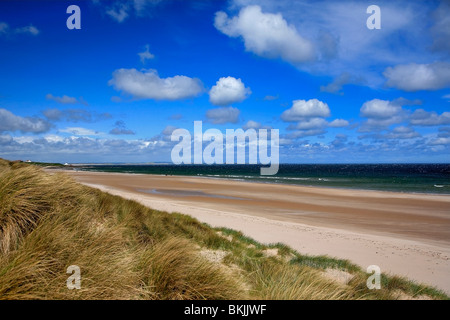 Sable vent patrons à plage de Bamburgh North Coast de Northumbrie Northumbrie en Angleterre Banque D'Images