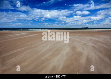 Sable vent patrons à plage de Bamburgh North Coast de Northumbrie Northumbrie en Angleterre Banque D'Images