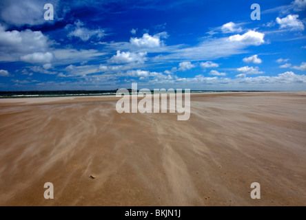 Sable vent patrons à plage de Bamburgh North Coast de Northumbrie Northumbrie en Angleterre Banque D'Images