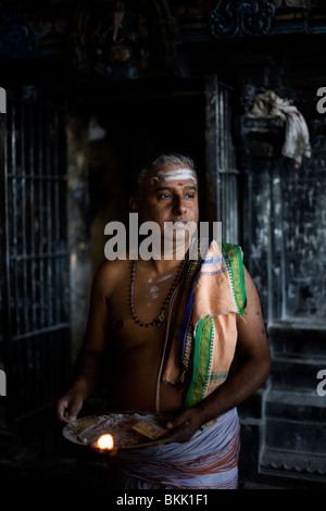 Un prêtre d'un culte au temple de Murugan, rituel donne des bénédictions à pèlerins à Swamimalai, Inde Banque D'Images