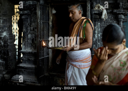 Un prêtre d'un culte au temple de Murugan, rituel donne des bénédictions à pèlerins à Swamimalai, Inde Banque D'Images