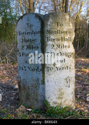 Étape importante dans la forêt de Savernake marqueur sur le bord de la route A346 dans le Wiltshire England UK Banque D'Images