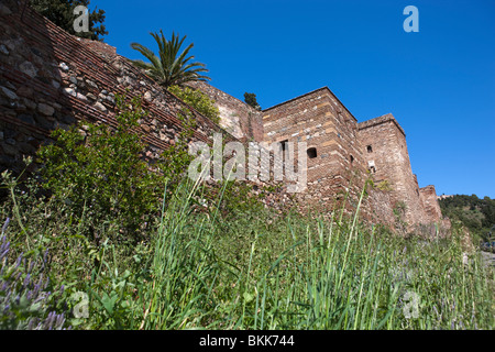 L'Alcazaba, Málaga, Andalousie, espagne. Banque D'Images