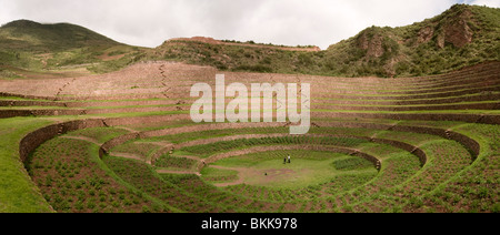 Site archéologique inca de Moray au Pérou Banque D'Images