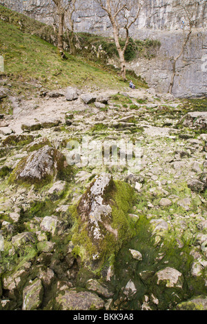 Le lit de rivière à sec à la base de 'Malham Cove', 'falaise' Yorkshire Dales, England, UK. Banque D'Images