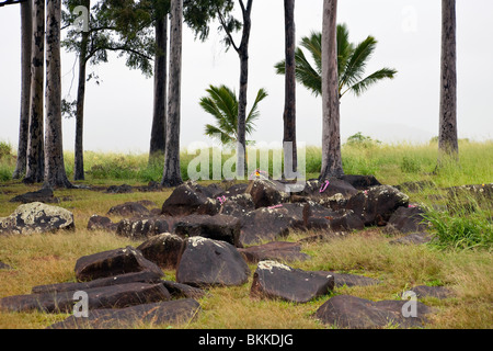 Parc d'état d'Kuhaniloko sur Oahu, Hawaii est le site de pierres de naissance sacrée utilisée par les chefs d'Hawaï et l'image. Banque D'Images