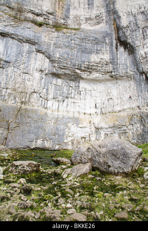 Une partie de la falaise de calcaire à Malham Cove, Yorkshire, Angleterre, Royaume-Uni. Banque D'Images