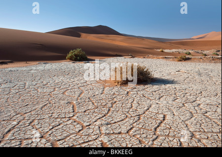 Lit de rivière à sec en laissant un effet de craquelures dans l'Argile Blanche à Sossusvlei, Namibie Banque D'Images