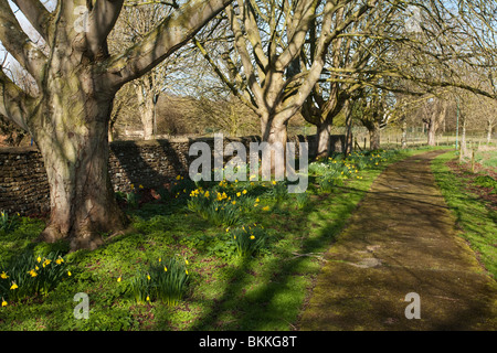 Le ressort de l'église de sentier de marche de l'église sainte Croix dans le village de Cotswold Ashton Keynes, Wiltshire, Royaume-Uni Banque D'Images