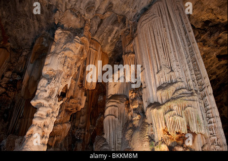 Les tuyaux d'Orgue Rock Formation à Van Zyl's Hall. Les grottes Cango, Oudtshoorn, Western Cape, Afrique du Sud Banque D'Images