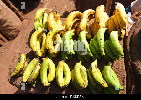 Le Kenya, l'Est, l'Afrique, le long de la B5, village de Nyeri, des bananes sur le marché en plein air Banque D'Images