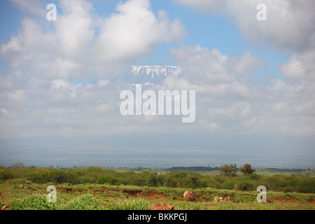 Le Kenya, l'Orient, l'Afrique, le paysage, le long de la route C102, le Kilimandjaro Banque D'Images