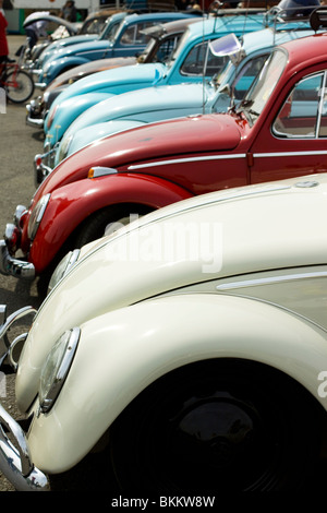 Une rangée de Coccinelles Volkswagen à Santa pod Raceway Angleterre Banque D'Images