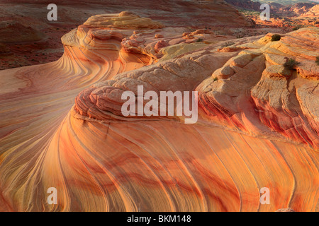 Motifs abstraits sur les formations de grès érodées à Vermilion Cliffs National Monument Banque D'Images