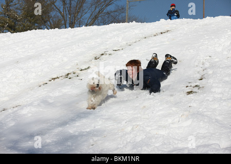 Un garçon et son chien profiter de la luge sur une colline sur un jour winterly à Charlottesville. La Virginie. Banque D'Images