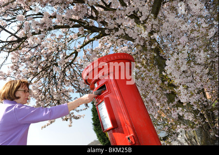 Femme poster une lettre en post box spring time England Uk Banque D'Images