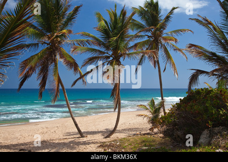 Bethsabée, Côte Est, Barbados, Caribbean Banque D'Images