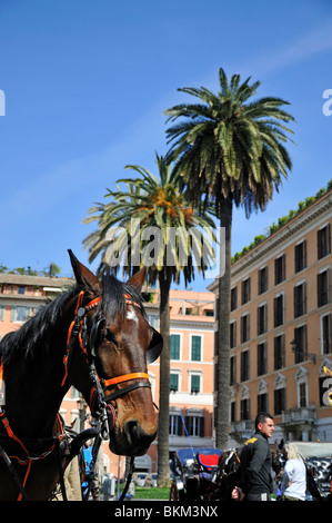 Piazza di Spagna, Rome, Italie Banque D'Images