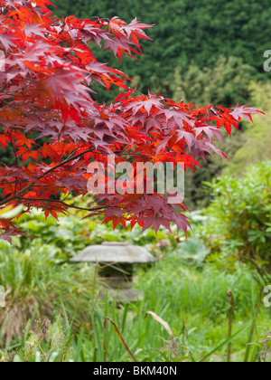 Newstead Abbey, Nottinghamshire England UK Banque D'Images