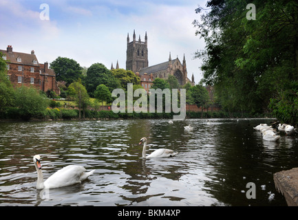 La Cathédrale de Worcester sur les rives du fleuve Severn UK Worcestershire Banque D'Images