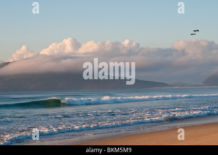 Tôt le matin sur la plage, Hawks Nest, NSW, Australie Banque D'Images