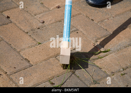 Gros plan d'une femme utilisant un Burgon and Ball Block Paving weed brosse avec une poignée en bois FSC 100 % pour effacer les mauvaises herbes sur sa route Banque D'Images