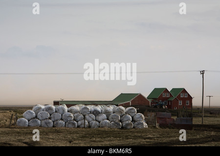 Ferme qui ont été frappés par la cendre volcanique de l'éruption volcanique de Eyjafjallajokull glacier, Sud de l'Islande. Banque D'Images