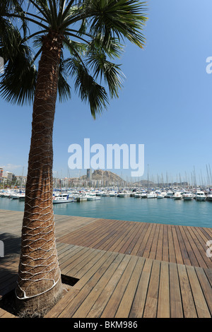 Vue sur Port de plaisance en direction de Santa Barbara Castle, Alicante, Alicante Province, Espagne Banque D'Images