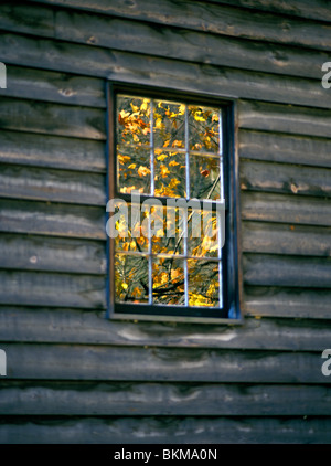 En raison de la fenêtre d'automne jaune, Gaston's Mill à Beaver Creek State Park, Ohio, USA Banque D'Images