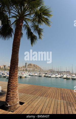 Vue sur Port de plaisance en direction de Santa Barbara Castle, Alicante, Alicante Province, Espagne Banque D'Images