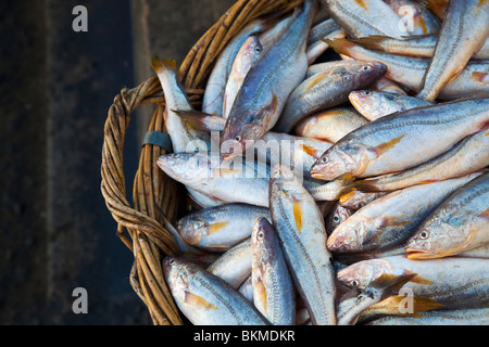 Paniers de poissons à vendre sur le bord de l'eau à Sandakan, Sabah, Bornéo, Malaisie. Banque D'Images