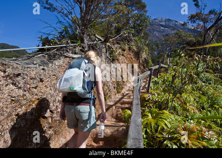 Randonneur sur le sentier du sommet Mt Kinabalu. Parc National de Kinabalu, Sabah, Bornéo, Malaisie. Banque D'Images