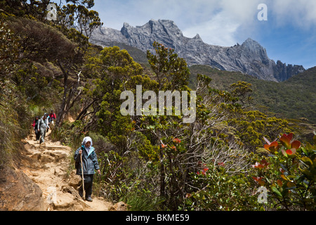 Les randonneurs en ordre décroissant de Mt Kinabalu avec le 4100 mètres maximum en arrière-plan. Parc National de Kinabalu, Sabah, Bornéo, Malaisie. Banque D'Images