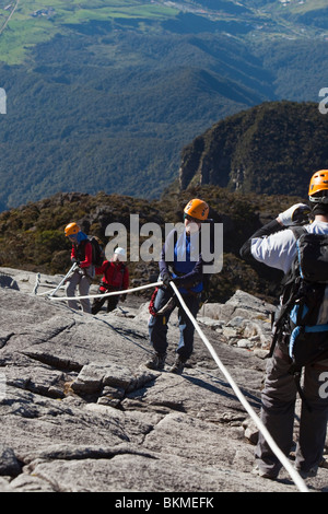 Les grimpeurs en utilisant des cordes pour descendre le rocher du Mont Kinabalu. Parc National de Kinabalu, Sabah, Bornéo, Malaisie. Banque D'Images