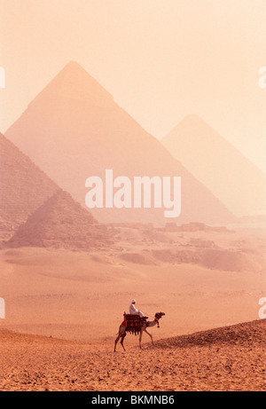 Grande pyramide et chameau avec tribu bédouine à l'aube, Giza, Egypte Banque D'Images