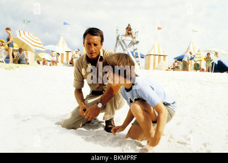 JAWS 2 -1978 ROY SCHEIDER Banque D'Images