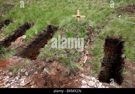 Tombes sur un cimetière près de Pietermaritzburg, Afrique du Sud. Beaucoup de jeunes personnes est décédé à cause du VIH et sida Banque D'Images