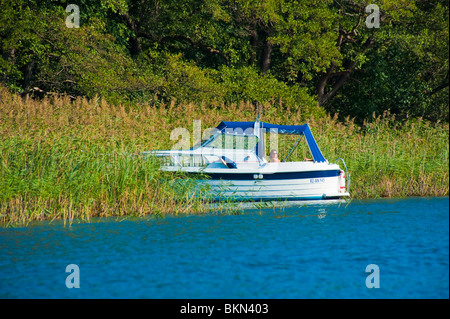 Le pouvoir blanc voile s'ancrant dans reed banque sur un lac près de Muritz, Western-Pomerania Mecklenburg, Allemagne Banque D'Images