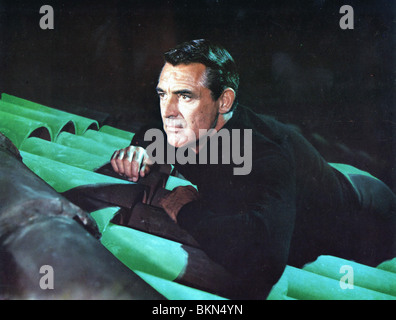 Pour attraper un voleur (1955) CARY GRANT FOH 003TCT Banque D'Images