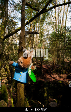 Lapin de Pâques, attaché à un arbre à Puzzlewood dans la forêt de Dean, Gloucestershire Banque D'Images