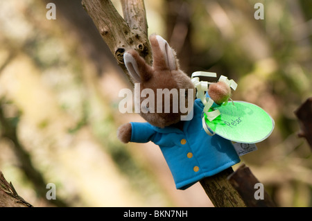 Lapin de Pâques, attaché à un arbre à Puzzlewood dans la forêt de Dean, Gloucestershire Banque D'Images